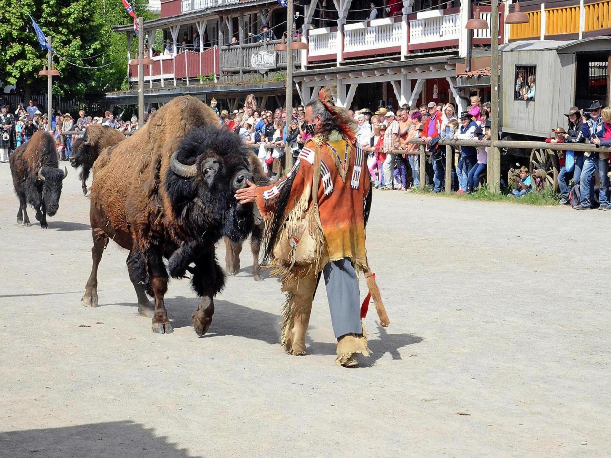 Harz Holiday Park, Hasselfelde Eksteriør bilde